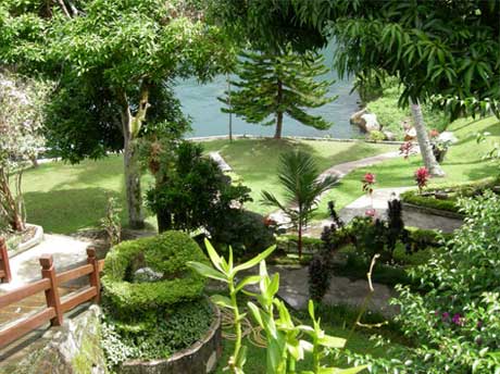 Carolina garden with Lake Toba in the background Carolina garden with Lake Toba in the background