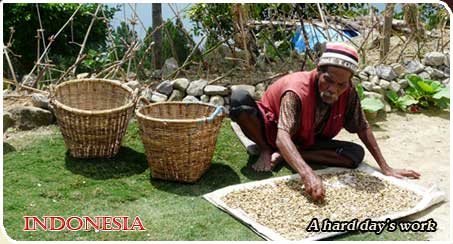 Carolina Cottages - at the beach Carolina beach